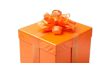 Official bonus for players.